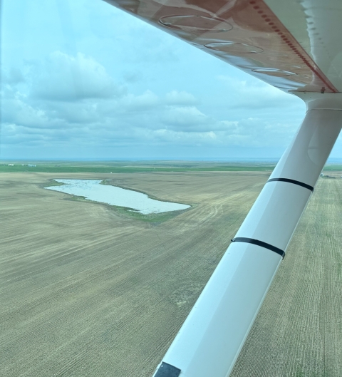aerial view of wetland on the landscape through an airplane wing