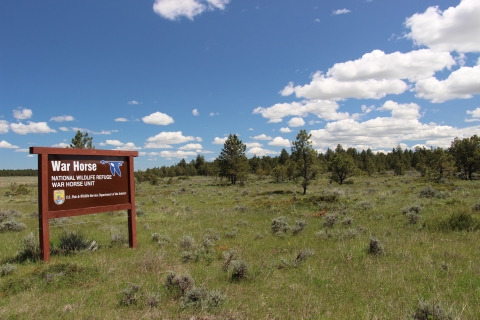 A sign is shown on the edge of a green field and trees under blue skies with white clouds.