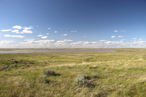 A grassland with sagebrush next to a lake is shown.