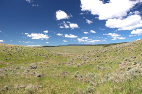 Rolling grasslands with sagebrush mixed in under blue skies with puffy white clouds are shown.