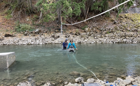 Two people wade in a streambed while working. They wear waders and headphones.