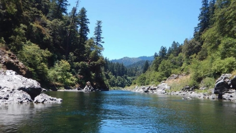 A river flows between trees. 