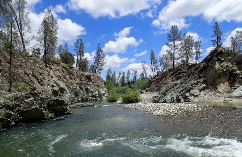 A river flows beside a rocky bank. Trees are in the distance. 