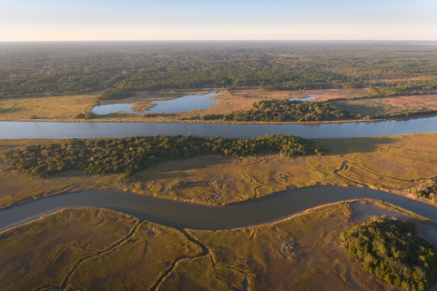 a picture of saltmarsh, creeks, and upland areas