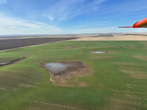 aerial view of green grass with small wetlands