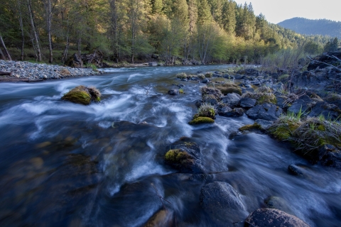 A river flows with rocks and grass along bank. 