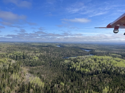 aerial view of a forested landscape
