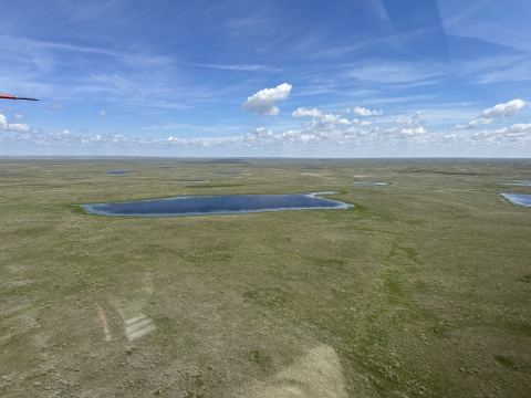 aerial view of wetlands on the landscape