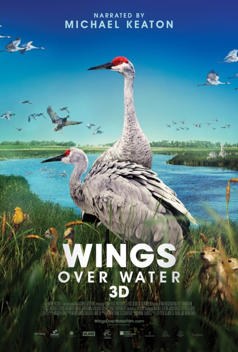 Poster advertising Wings Over Water 3D - 2 fowl standing on edge of pond