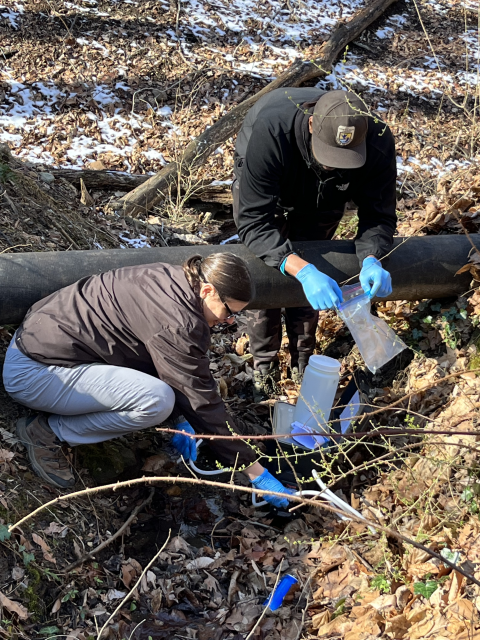 two people collect samples in a small ravine