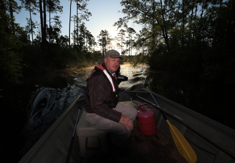 Larry Woodward pilots a boat into the Okefenokee Swamp in the early morning. He is the deputy manager of the Okefenokee National Wildlife Refuge.