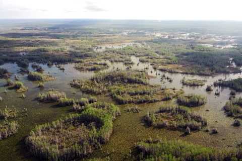 This photo shows an aerial view of the Okefenokee National Wildlife Refuge.