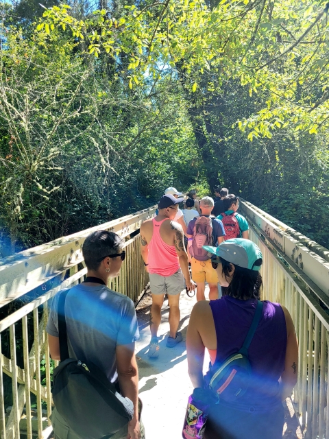 People walking together across a forested bridge.