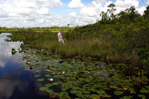 Larry Woodward takes photos in the Okefenokee National Wildlife Refuge.