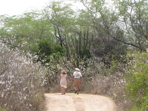 Couple walking along one of the trails at the Cabo Rojo Salt Flats where the subtropical dry forest habitat is observed.