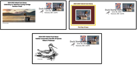 Covers for federal duck stamp 2024-2025