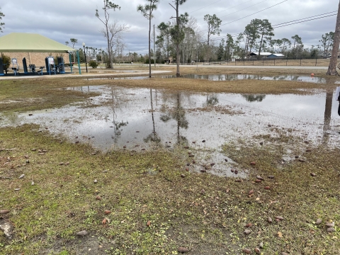 Flooded grassy area