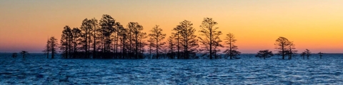 Sunrise over a lake.