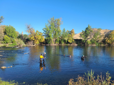 People standing and snorkeling in a river with trees and a grassy hill on the other side beneath blue skies