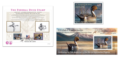 images of 2024-2025 federal duck stamp, pane of one, artist commemorative