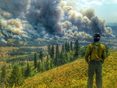 A firefighter looks out over a forested area to a large wildfire in the distance. The fire is burning in the forest and is billowing smoke into the sky.,