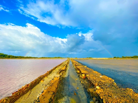 View of hypersaline lagoons at the Cabo Rojo Salt Flats.