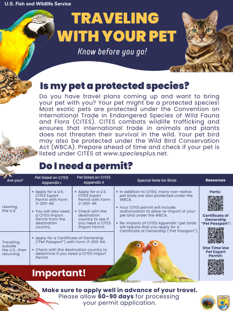 A poster titled, "Traveling With Your Pet. Know before you go!"