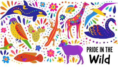 Colorful illustration of animals, done in style inspired by Mexican alibrijes. 