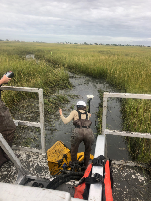 a person leans over the end of a boat into the marsh