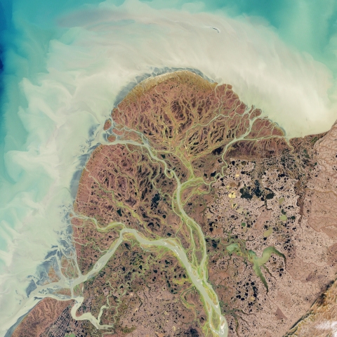 A satellite view of a braided river delta.