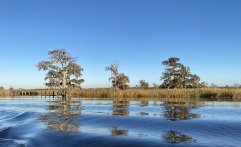 Trees and marsh beyond a river.