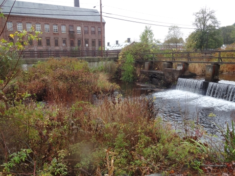 water spills over a dam with plants in the foreground and a large red brick building in the background