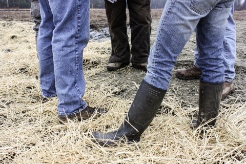 Legs of people standing in a circle in a straw-covered field