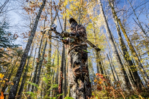 Bow hunter standing in the woods.