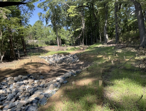 stream bed after restoration