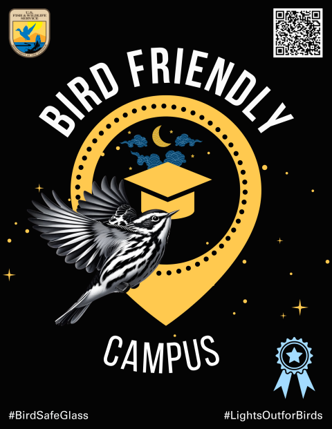 Bird Friendly Campus sign