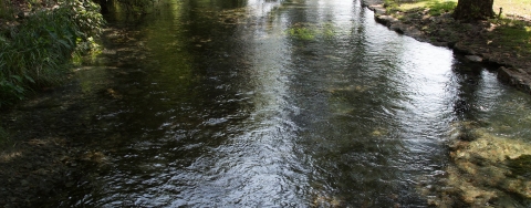 A shallow spring flows between grassy river edges.