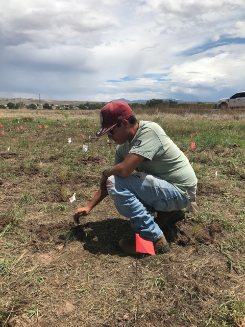 person in a field planting a tree