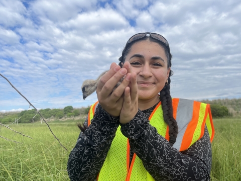 Intern holds an osprey chick