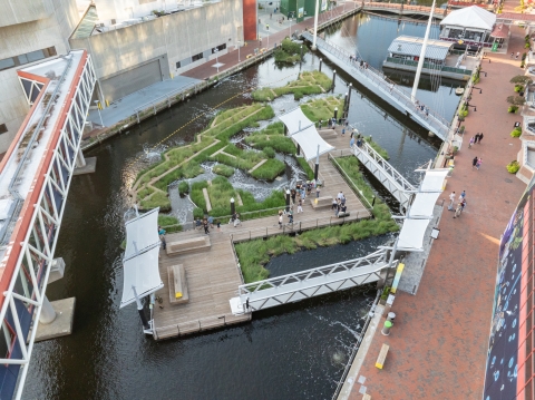 Short from above capturing National Aquarium Floating Wetland and Inner Harbor