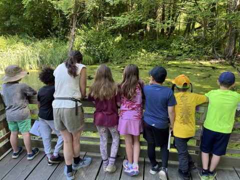 Students looking at a wetland from the observation deck