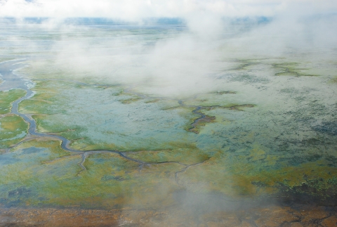 aerial view of tidal wetlands