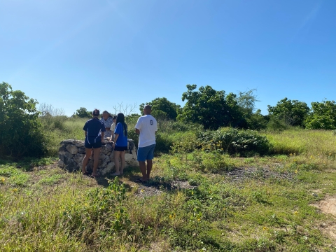 People standing at an alter among vegetation