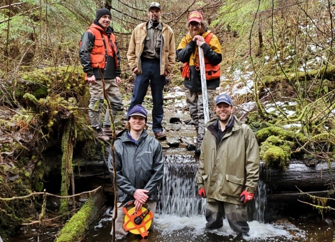 four men in a heavily wooded creek