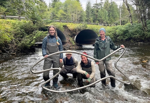 4 people sanding downstream of undersized road culverts in a stream holding a big metal fish