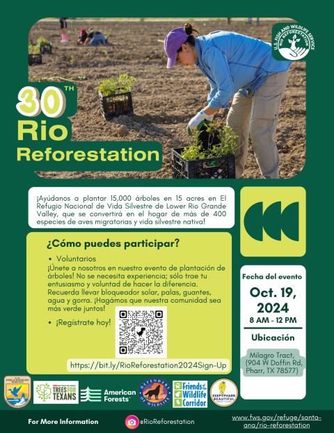 Spanish Flyer for Rio Refororestation