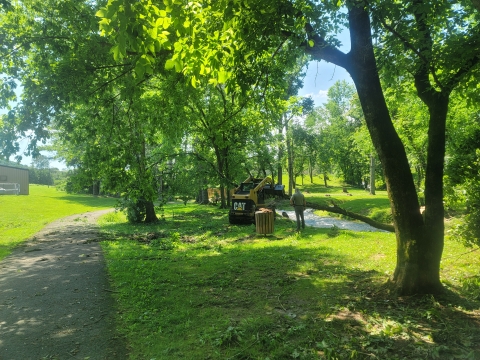 Cat skidsteer pulling out a tree from the hatchery creek