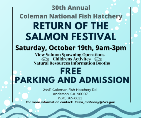 30th annual Return of the Salmon Festival Saturday October 19th 9am-3pm