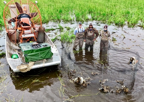 three people stand next to an airboat and a trap full of ducks