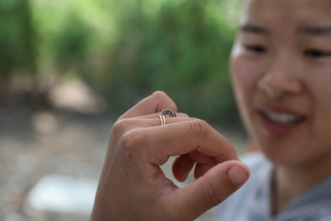 A person out of focus and with a small bee on their hand.